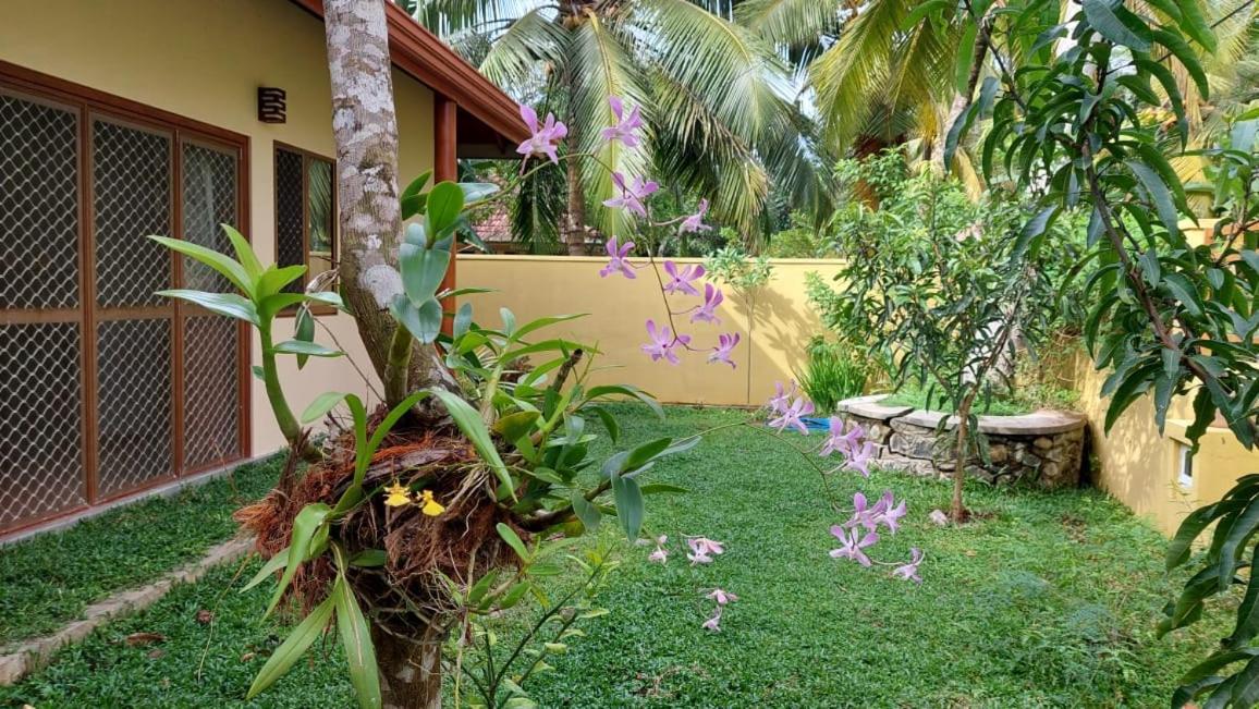 El-Nivasa Villa In Weligama Εξωτερικό φωτογραφία